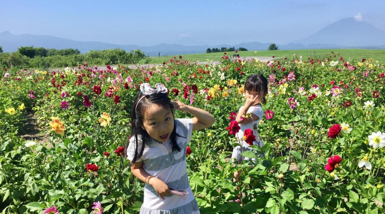 Toyako洞爺家外家别墅 外观 照片